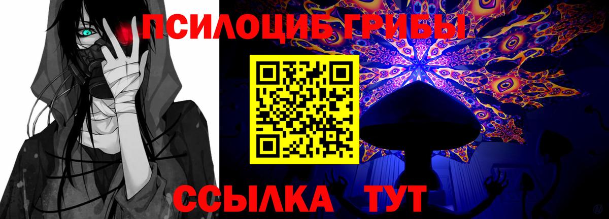 Карталы  Псилоцибиновые грибы Psilocybine cubensis  Псилоцибиновые грибы прущие грибы  Вход с VPN 
